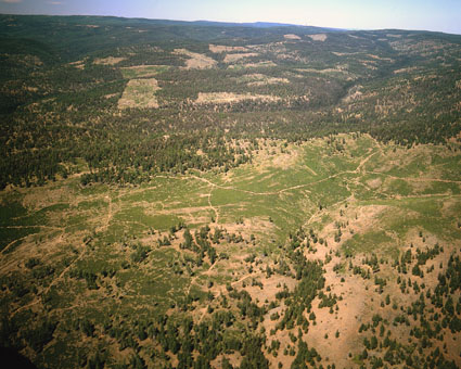 Shaw Mountain ltimber harvest of the 1990s